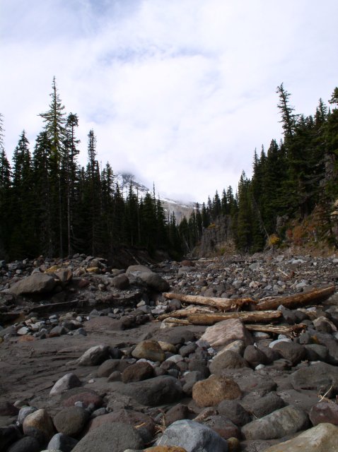 Newton Creek Oct 16 2005 052 